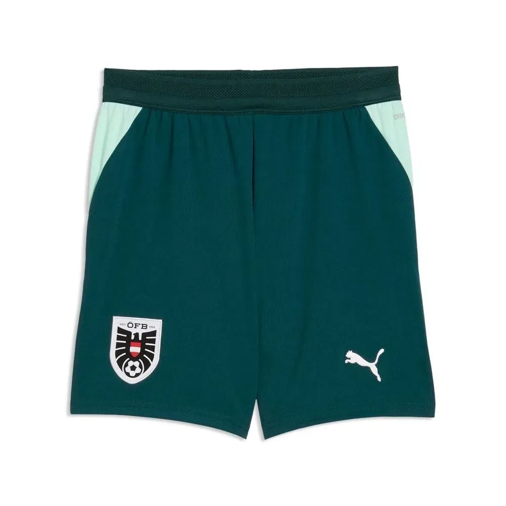 Шорты спортивные детские с логотипом Öfb Shorts Replica JR Puma, зеленый