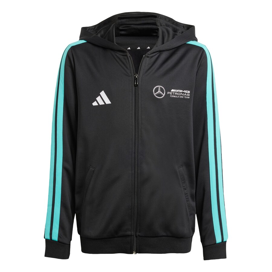 

Спортивная толстовка с капюшоном на молнии ADIDAS PERFORMANCE Mercedes - AMG Petronas Formula One Team DNA, черный