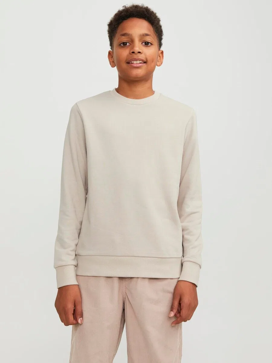 Детская толстовка 'JJEBradley' в цвете Kitt Jack & Jones Junior — фото 3