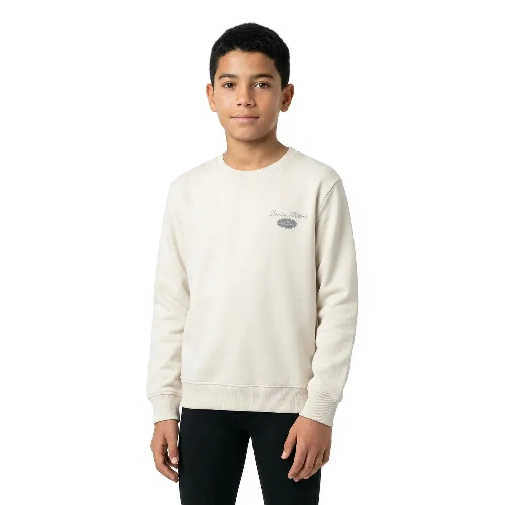 Свитшот Graphic Dover Jack & Jones, бежевый — фото 3