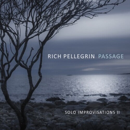 

CD диск Pellegrin, Rich: Passage: Solo Improvisations Ii