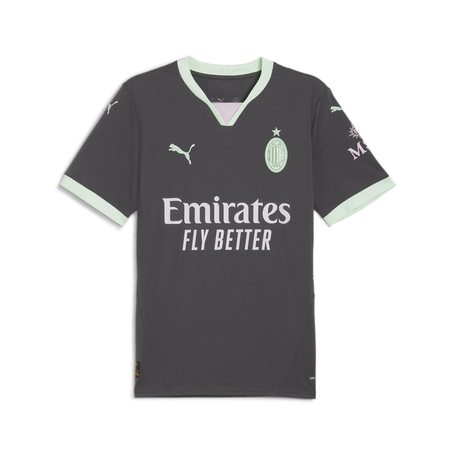 

Третья футболка AC Milan 24/25, мужская, PUMA Shadow Gray, цвет Fresh Mint Green