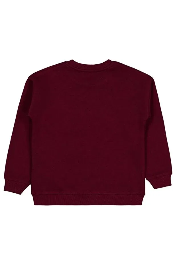 Детские свитшот для мальчиков с принтом Positive Printed Civil Girls, Burgundy — фото 2