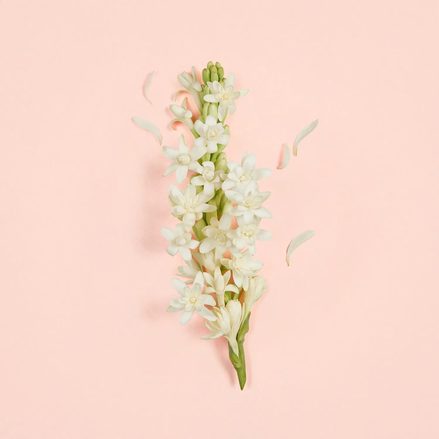 Парфюмерная вода GUCCI Bloom Ambrosia d'Oro 30 мл — фото 3