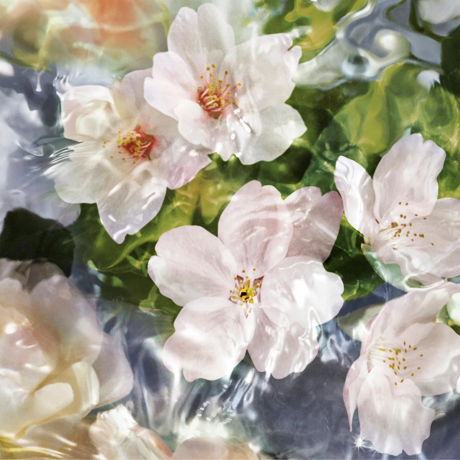 Парфюмерная вода-рефилл Aqua Allegoria Flora Cherrysia GUERLAIN, 200 мл — фото 2
