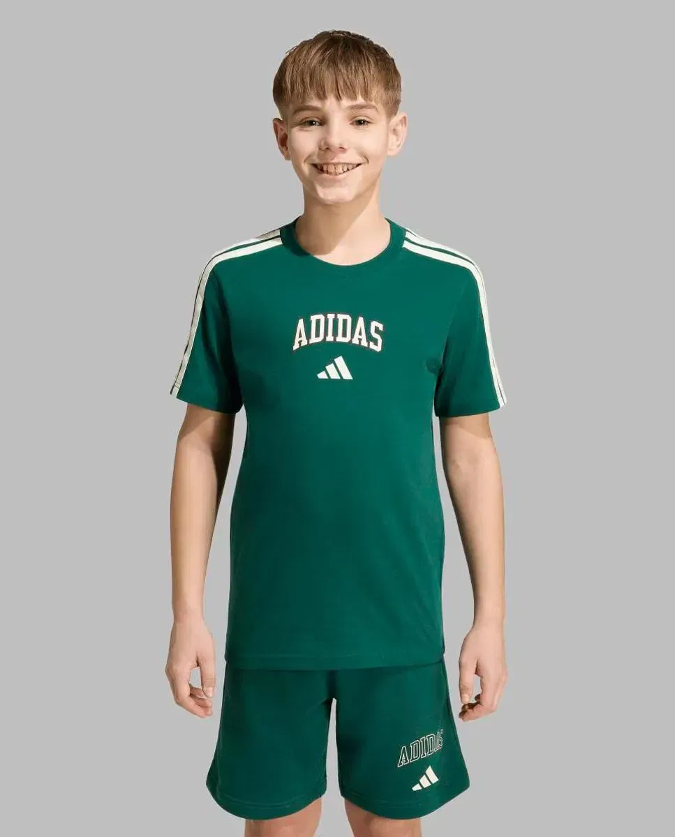 Детская футболка с принтом Seasonals Collegiate adidas, Verde — фото 3