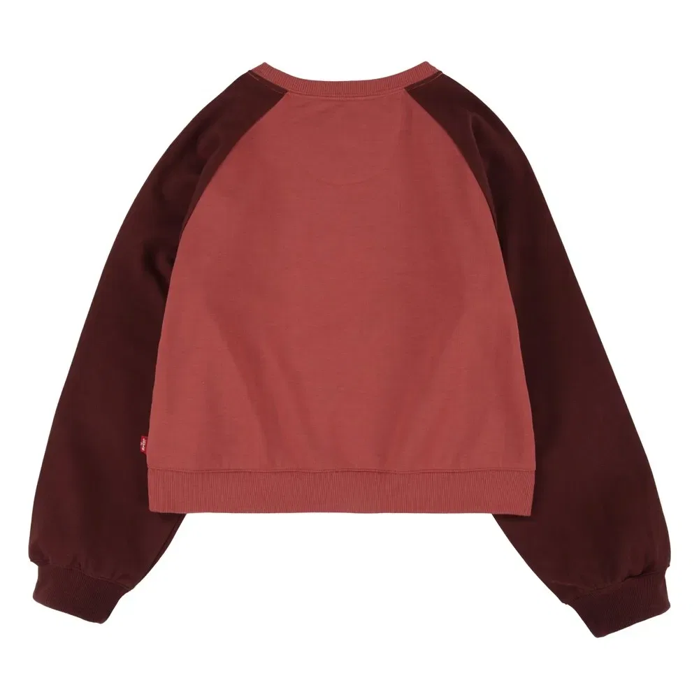 Свитшот реглан Levi's Raglan Batwing Crew, красный — фото 2