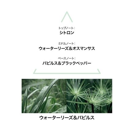 LE COUVENT Botanical Cologne Aqua Nymphae EDT 50 мл — фото 3