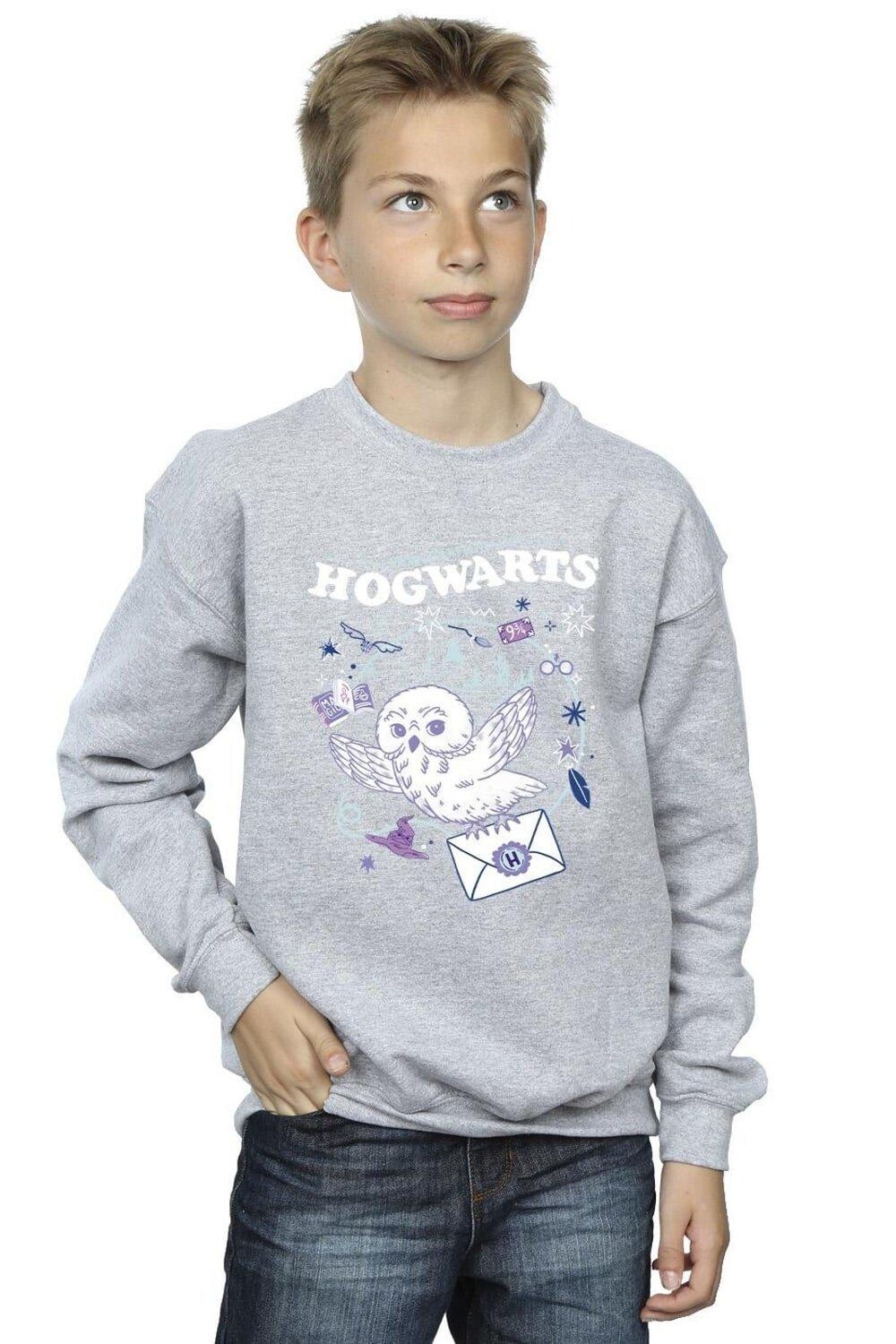 

Толстовка с изображением совы «Письмо из Хогвартса» Harry Potter, серый