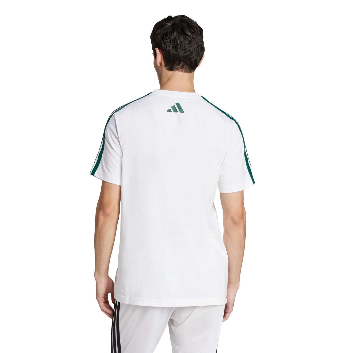 Мужская футболка с принтом Codes Collegiate Linear Graphic adidas, White/Opulento Garden — фото 3