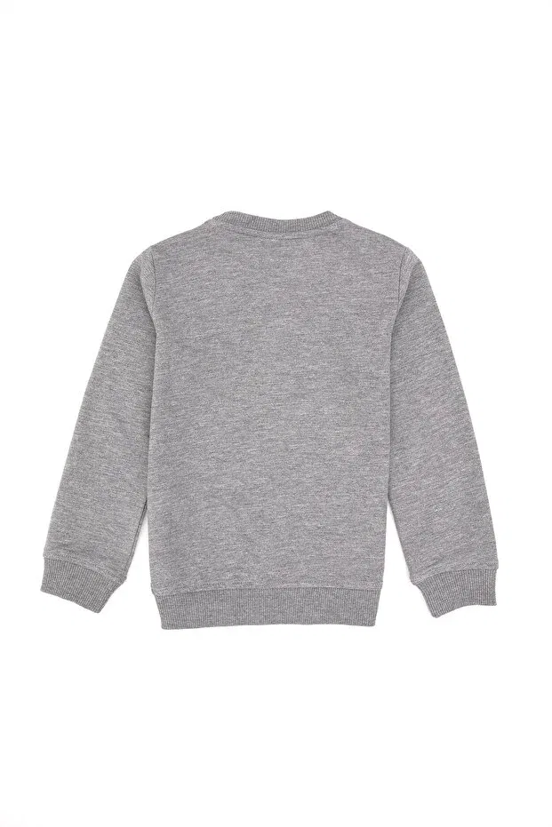 Детские свитшот для мальчиков хлопковый U.S. Polo Assn., Gray Melange — фото 4