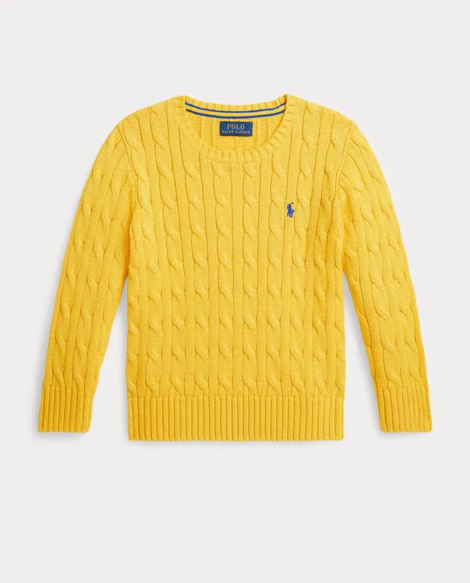 Детский джемпер для мальчиков с жаккардовым узором Polo Ralph Lauren, Amarillo