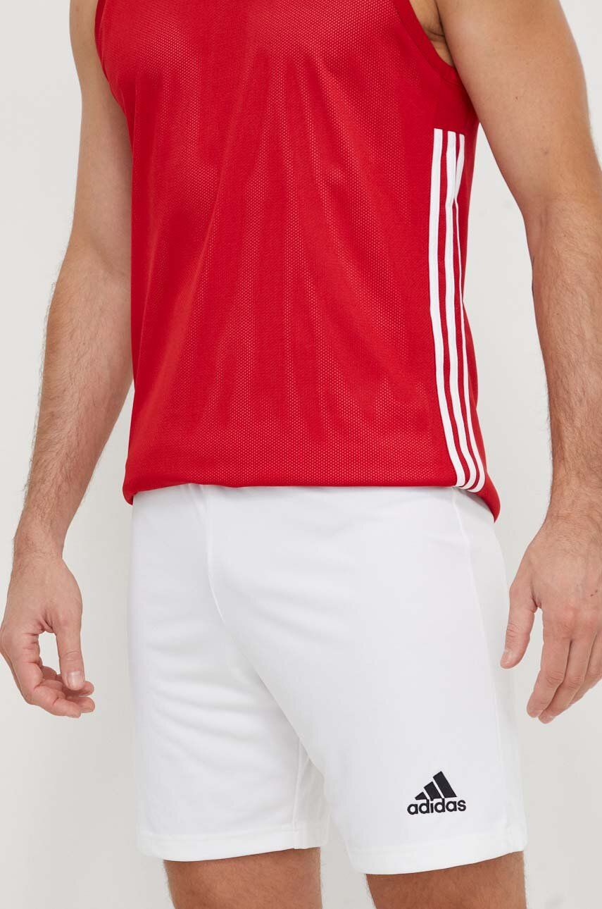 

Тренировочные шорты Entrada 22 adidas Performance, белый