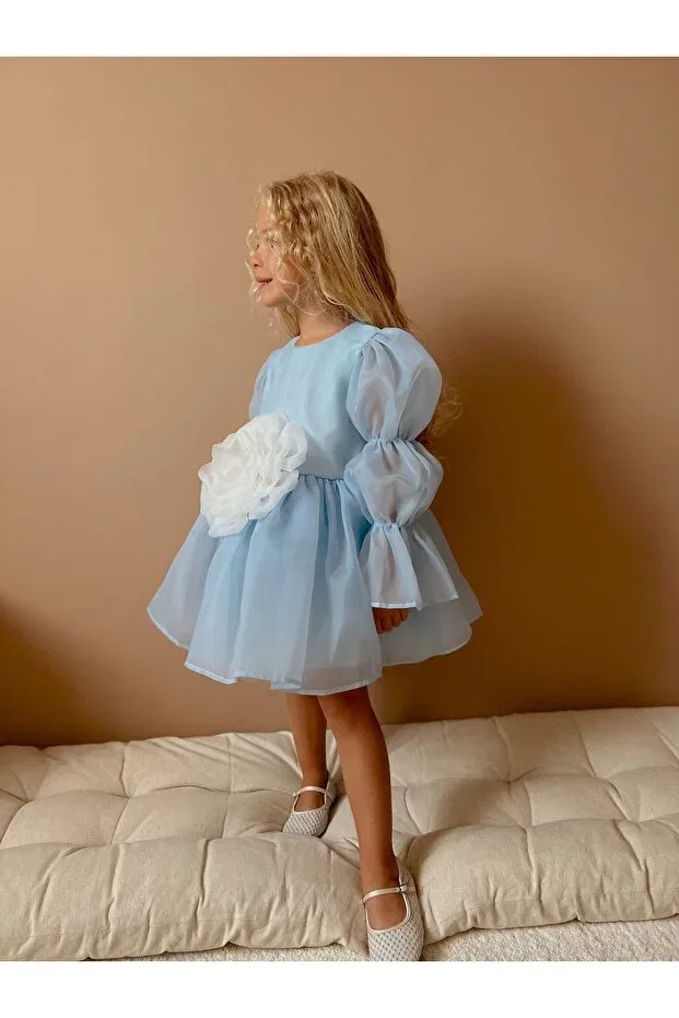 Детское платье для девочек с принтом роз Elsa blue chiffon rose Linola Baby Kids, Elsa Blue — фото 2