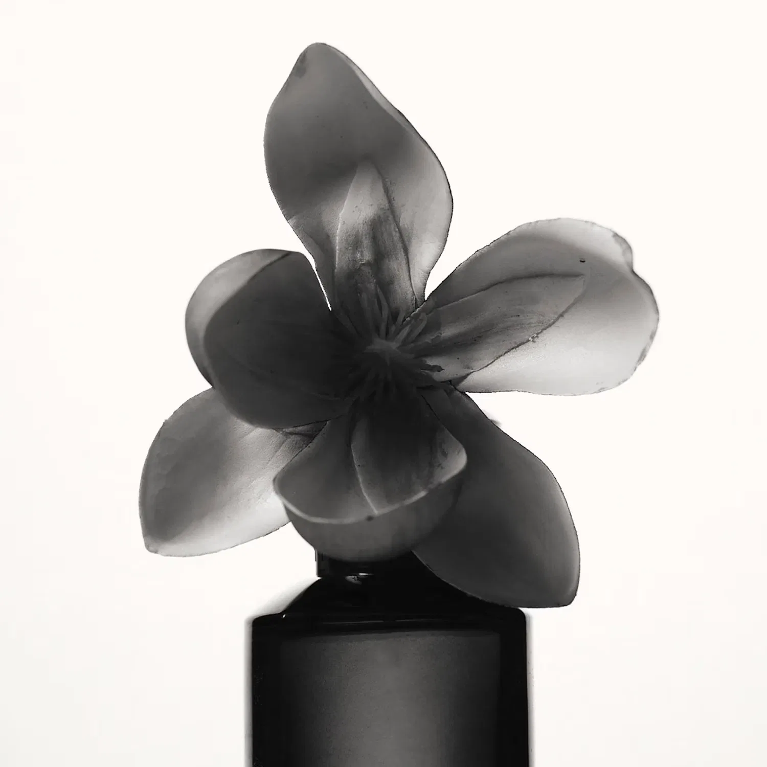 Парфюмерная вода 30 мл с нотами магнолии и мускуса FENTY FRAGRANCE — фото 3