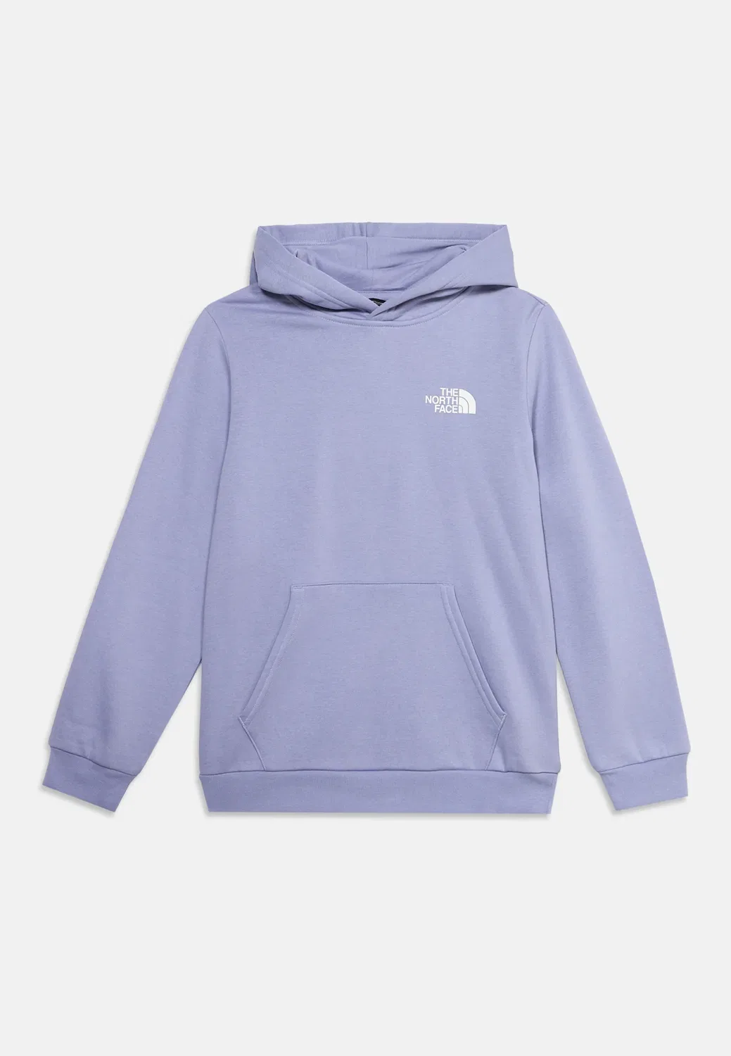 Худи Teen Evolution Box унисекс - худи The North Face, Pale Plum — фото 3