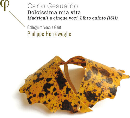 

CD диск Gesualdo / Collegium Vocale Gent / Herreweghe: Dolcissima Mia Vita