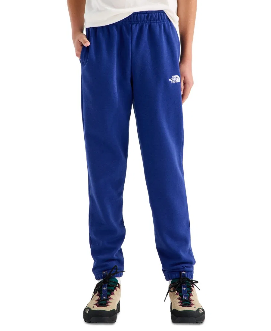 Штаны Evolution Simple Dome для мальчиков и девочек 7-20 The North Face, Bold Blue