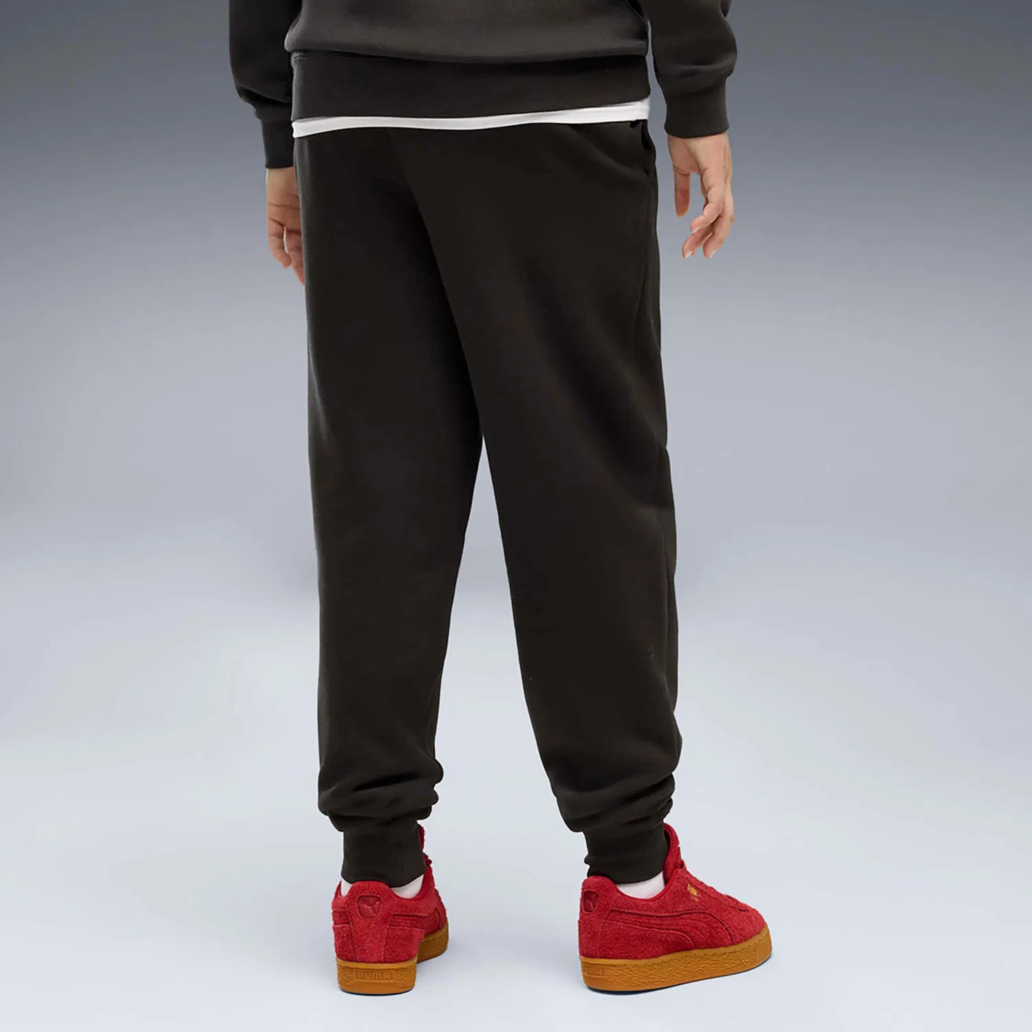 Детские спортивные штаны с логотипом Puma Ess 2 Farbe Nr. 1 Logo Sweatpants Fl B, Puma, Черный — фото 3