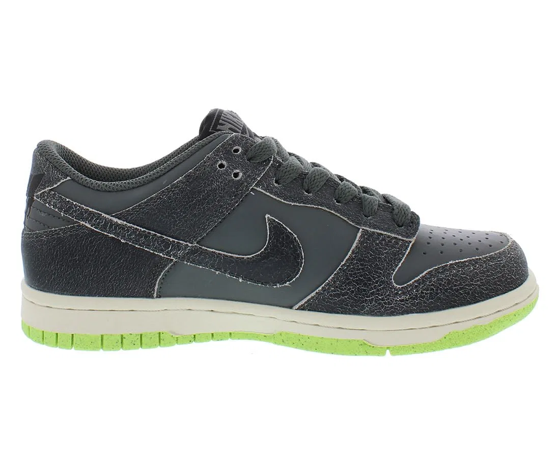 Детские кроссовки для мальчиков с принтом NIKE Dunk Low NIKE, Iron Grey Ghost Ghost Green — фото 2