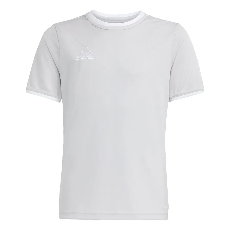 Футболка ADIDAS PERFORMANCE Performance Shirt 'Entrada26' цвета «камень»