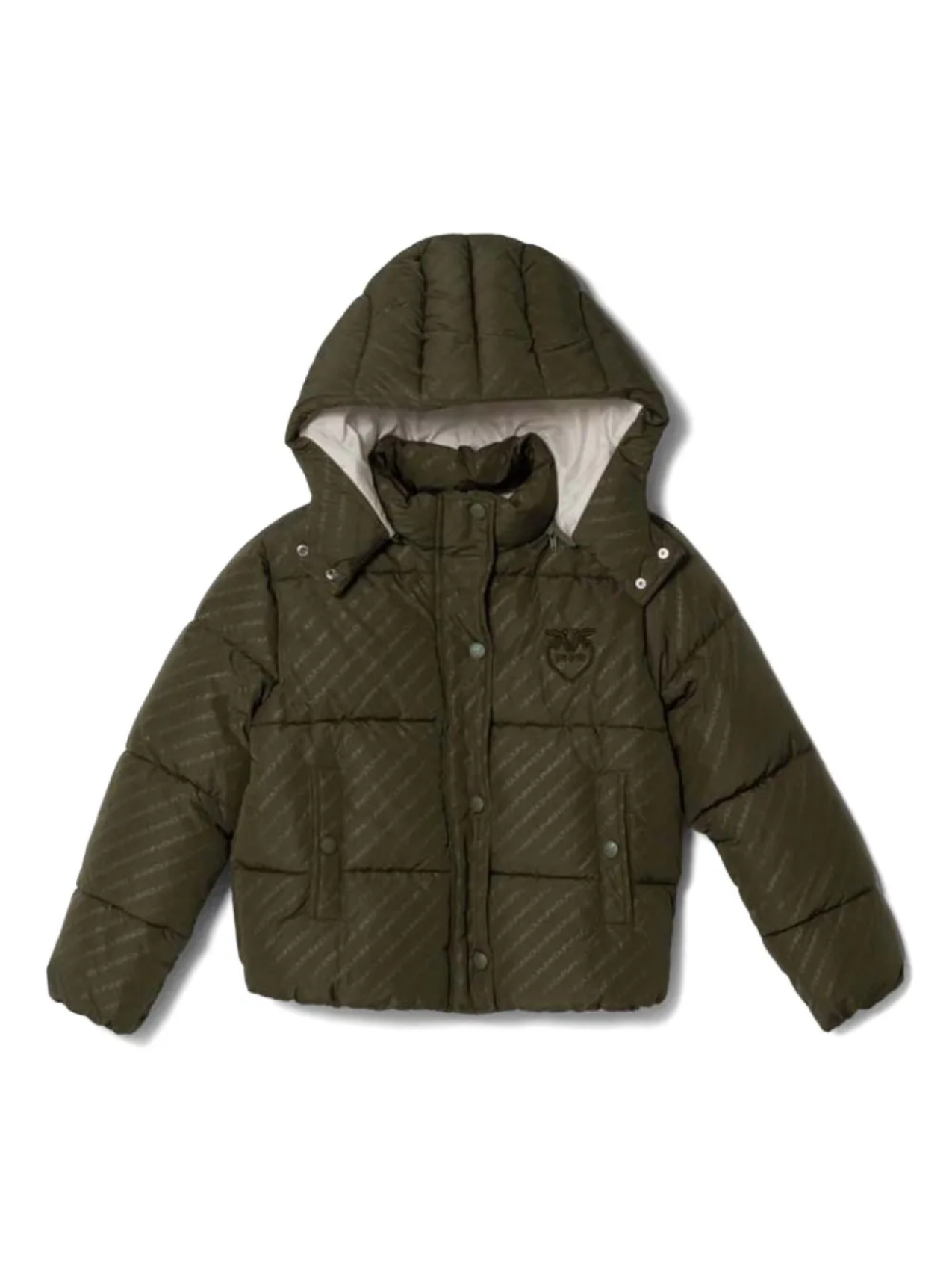 

Детская полосатая стеганая куртка Pinko Kids, зеленый