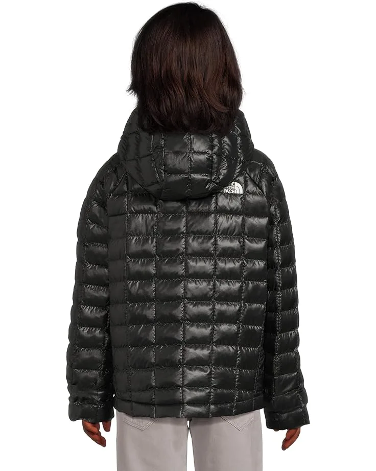 Куртка The North Face Kids ThermoBall Hooded Jacket (Toddler), TNF Black — фото 2