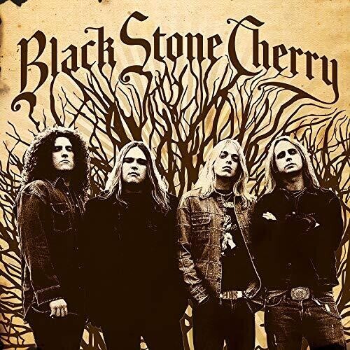 

Виниловая пластинка Black Stone Cherry: Black Stone Cherry