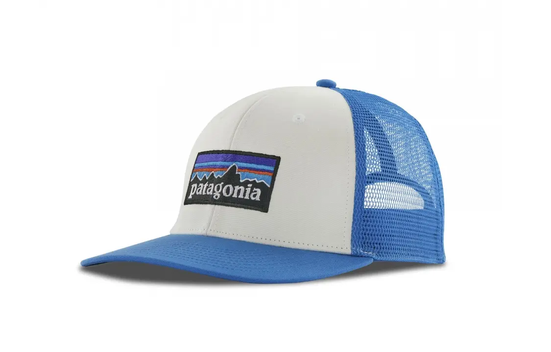 

Patagonia Органический хлопок, канвас, переработанная рыболовная сеть бейсболки мужские blue