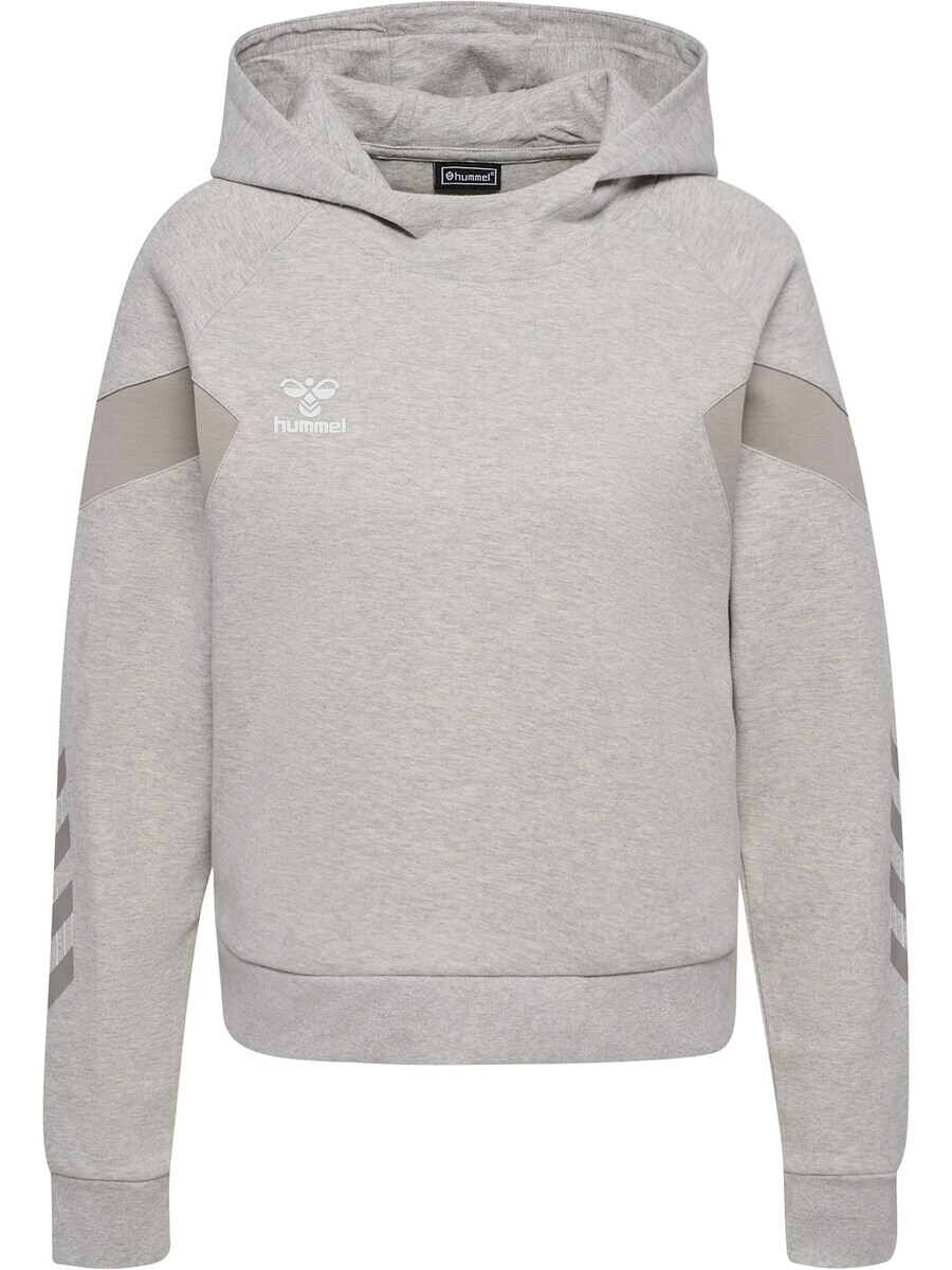 

Спортивная толстовка Hummel TRAVEL, серый