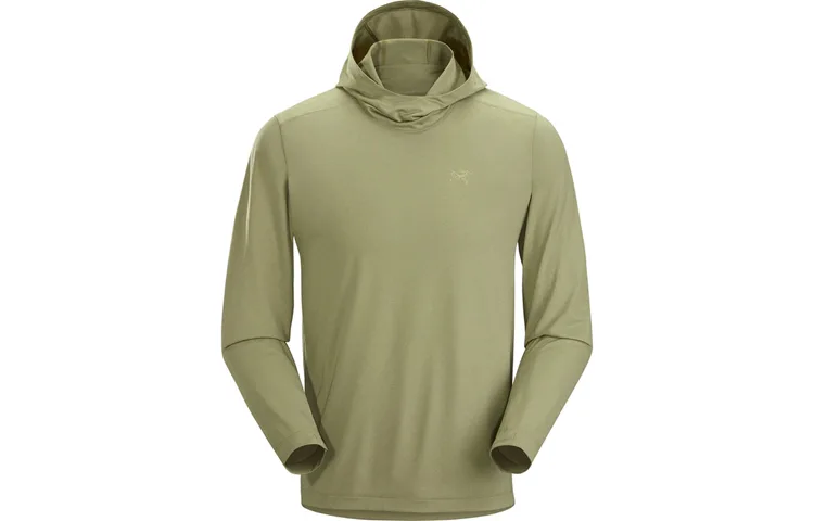 Толстовка с капюшоном Remige мужская Arcteryx, Gray/Ash — фото 3
