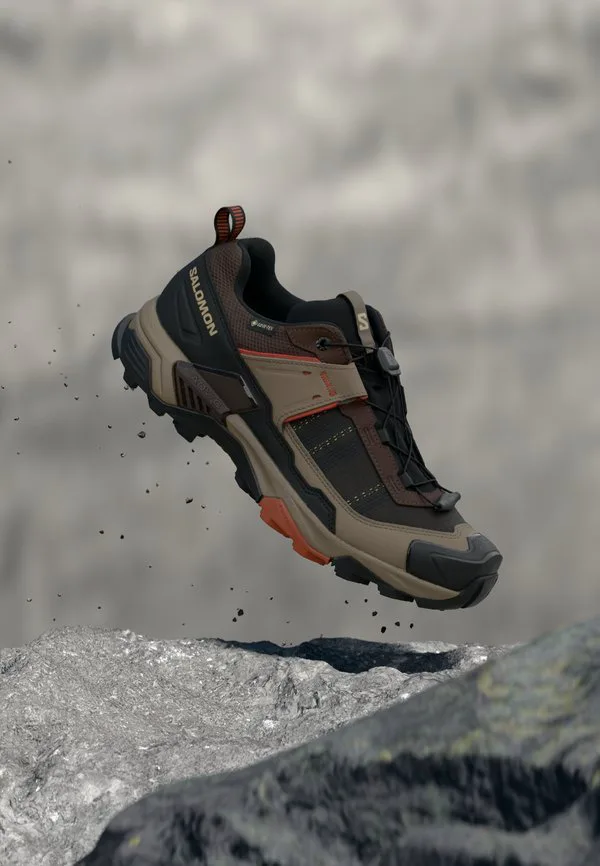 Походные ботинки x ultra 5 gtx Salomon, Black Coffee/Walnut/Arabian Spice