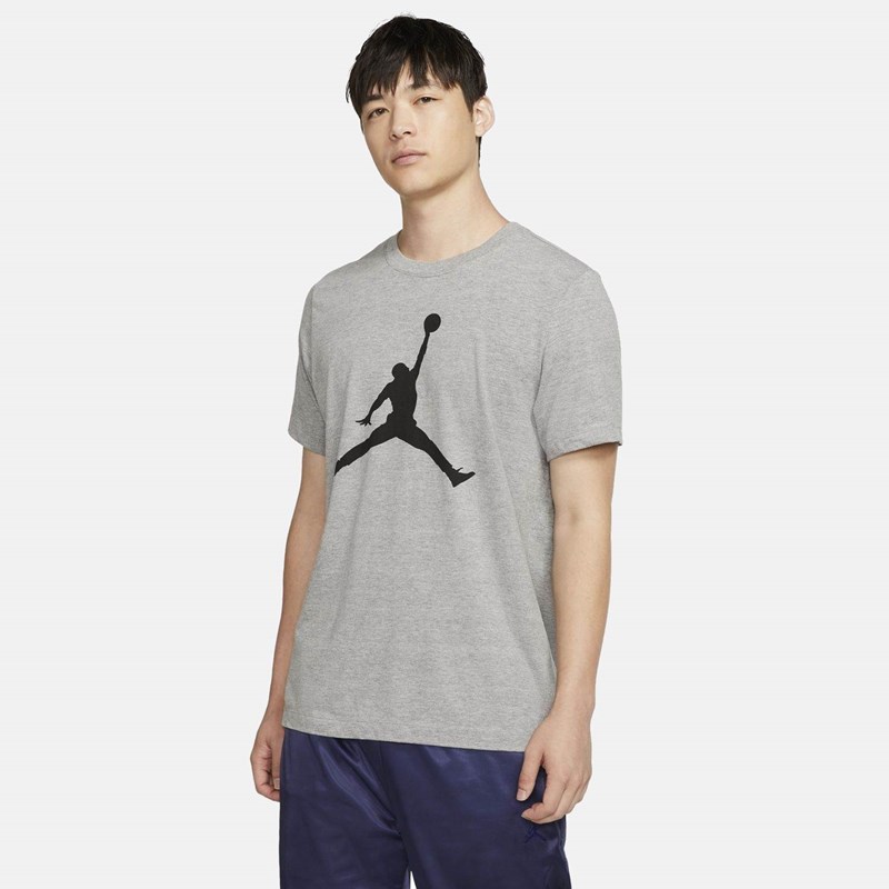

Мужская футболка Jumpman Nike, серый
