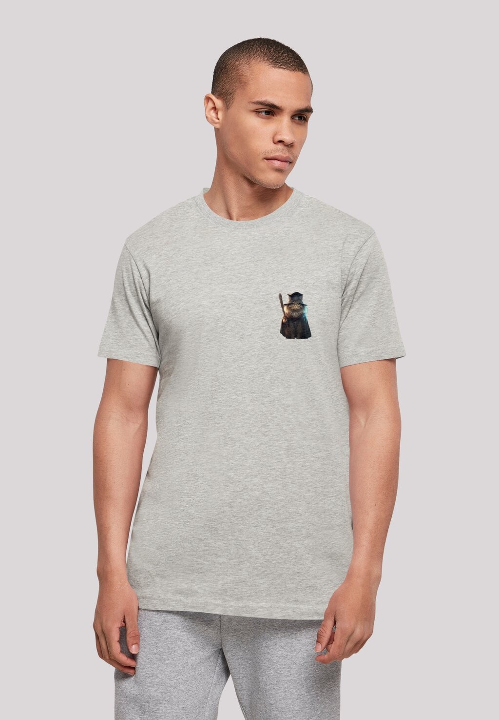 

Футболка с принтом WIZARD CAT TEE F4NT4STIC, цвет heather grey
