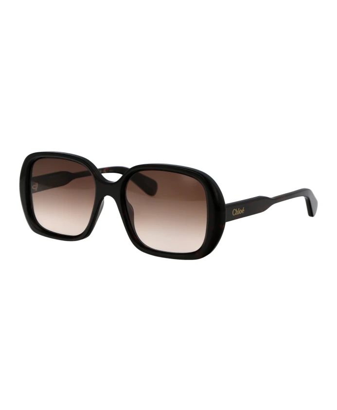 

Стильные солнцезащитные очки модели ch0222s Chloé, коричневый
