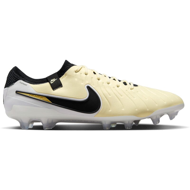 

Футбольные бутсы Legend 10 Elite FG Nike, мультиколор