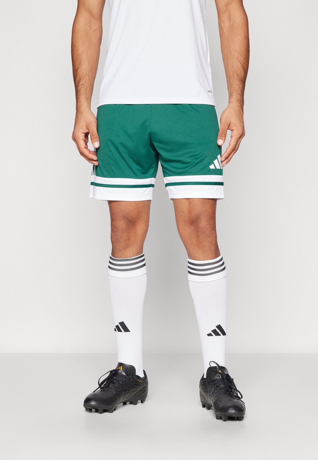 

Спортивные шорты SQUADRA adidas Performance, зеленый