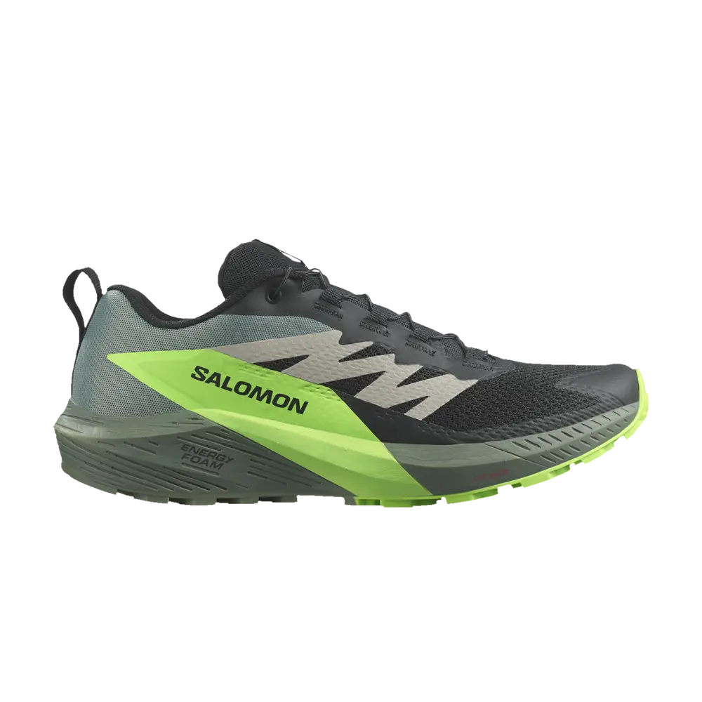 

Кроссовки Sense Ride 5 Salomon, черный