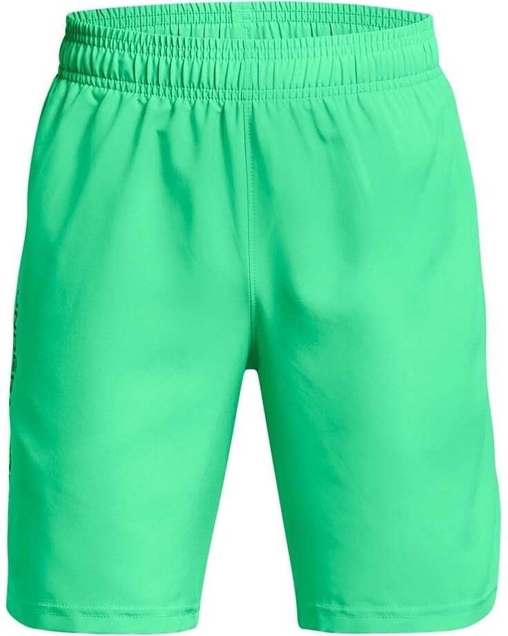 

Шорты Under Armour Kids Woven Wordmark Shorts, цвет Vapor Green/Black
