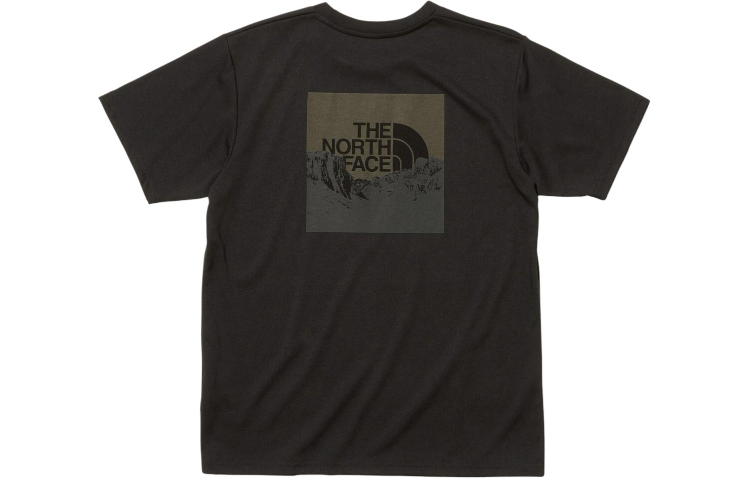 

THE NORTH FACE Мужская футболка, цвет Black