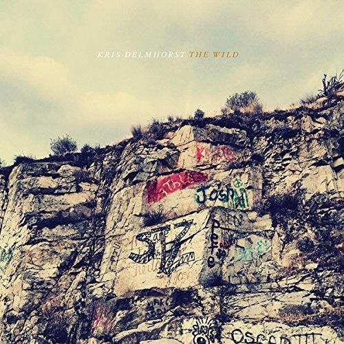 

CD диск Delmhorst, Kris: The Wild