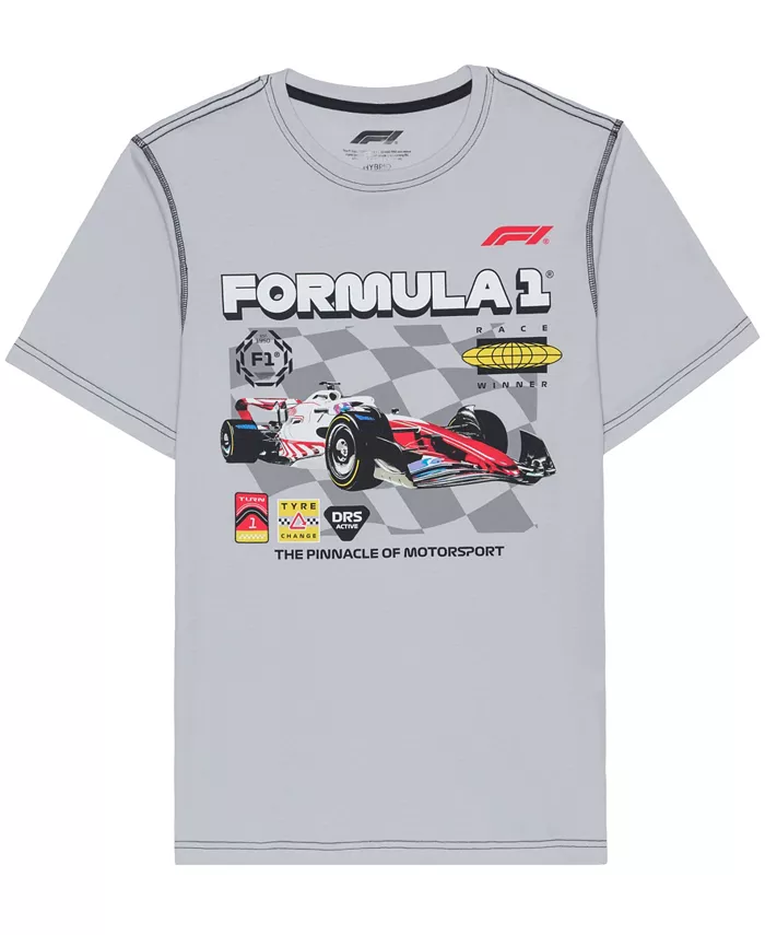 

Мужская футболка с коротким рукавом Formula 1 Hybrid Apparel, серый