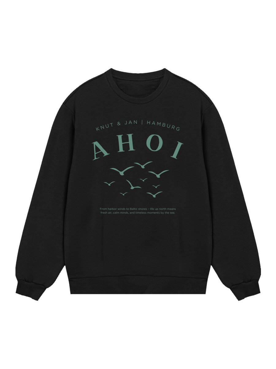 

Толстовка F4NT4STIC Ahoi Möwe Knut und Jan, черный