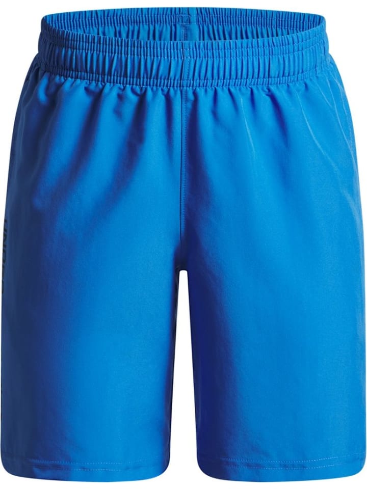 

Шорты Under Armour, синий