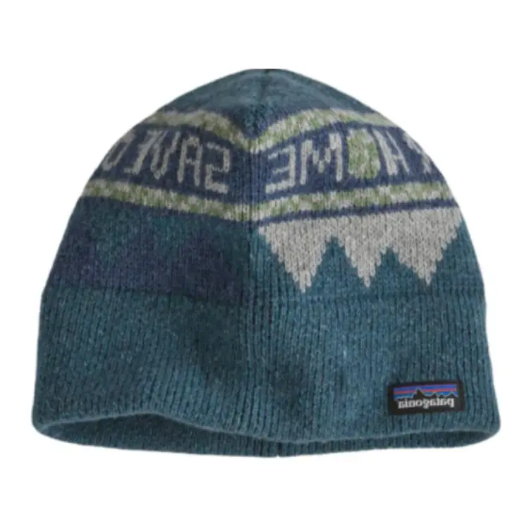 

Patagonia Переработанная шерстяная вязаная шапка унисекс синяя, Blue