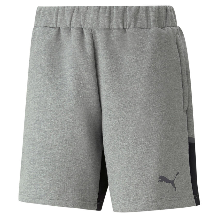 

Мужские шорты Puma teamCUP Casuals Shorts 657989