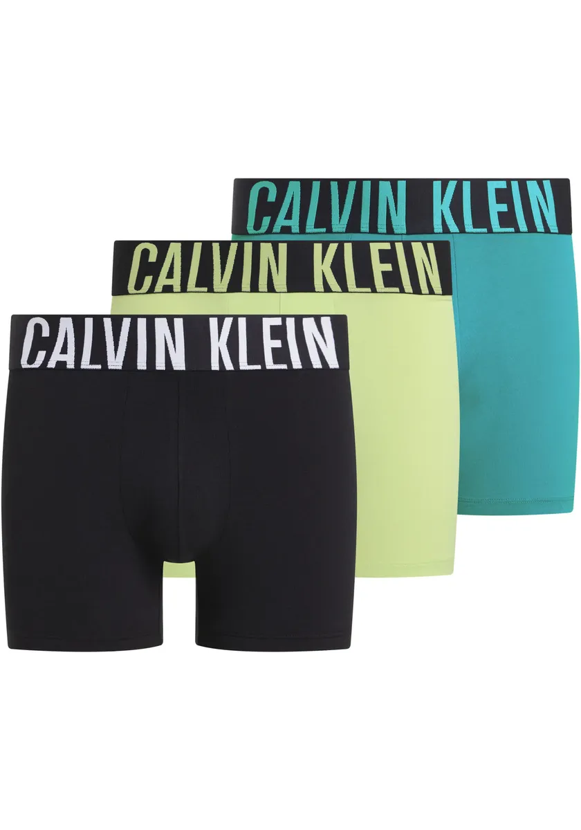 

Боксеры Calvin Klein Underwear "BOXER BRIEF 3PK" (в упаковке 3 шт.), с эластичным поясом с логотипом, черный
