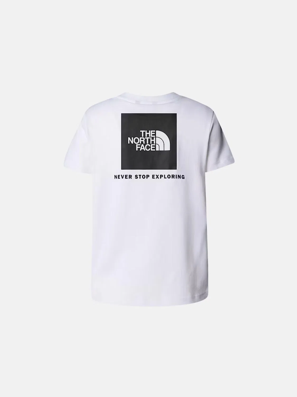 Футболка The North Face, White — фото 2