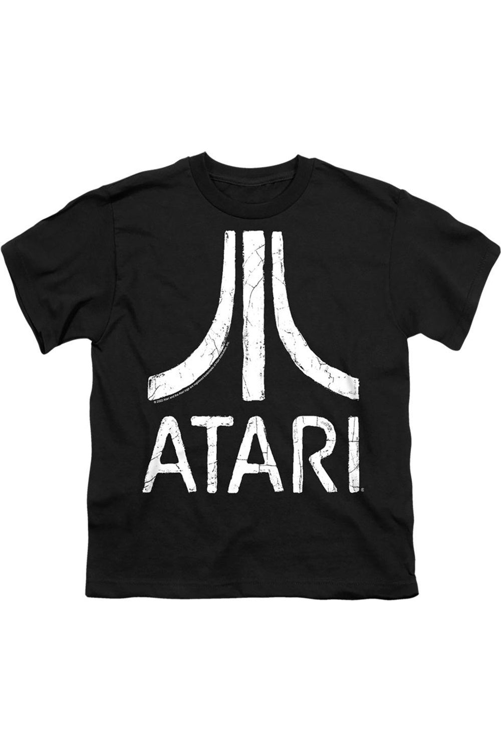 

Футболка Atari Rough Logo с коротким рукавом для детей Gildan, черный