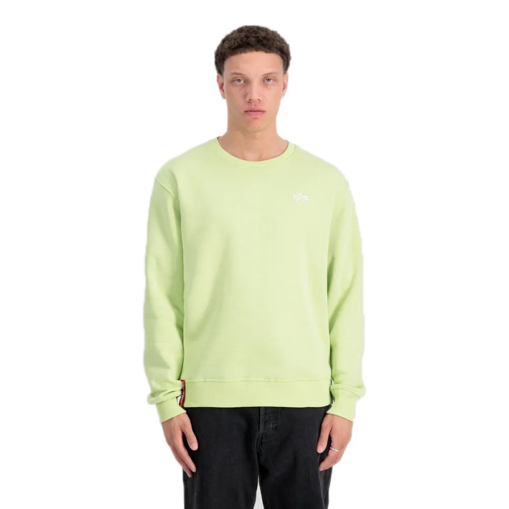 

Толстовка Alpha Industries Basic Small Logo, зеленый